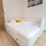 Sk 1 Au Coeur De La Vieille Apartment