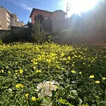 Jardin Secret A Nice - 2 Pieces