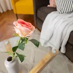 * Le Provencal * Cosy Flat 3 Min Walk From The Sea *
