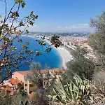 Sibylle - Trip - - By Tgb Nice