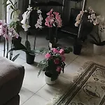 Homestay Port Quartier Antiquaire