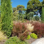 Apartment Laconsolate *