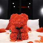 La Chambre D\'Anastasia