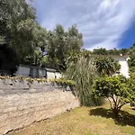 Petit Paradis Perche Au Coeur De Nice