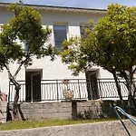 Petit Paradis Perche Au Coeur De Nice