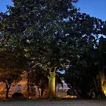 Villa Adelaida
