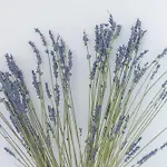 My Casa - Buffa 21 - 2Min From The Sea - Terrace