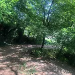 Foret Proche Centre Ville