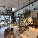 Signature Baracca Villa *