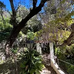 Seaside Jungle Retreat Nice
