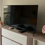 Palm Leaf Studio Nice