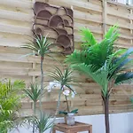 #55 Sun Terrace Ac & Wifi 10Mins Walk To Sea & Oldtown