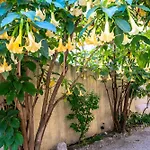 Appartement Atypique Coeur De Ville -Ac-