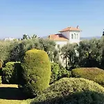 Famous Vacation Nice