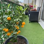 Spacious Riviera Studio