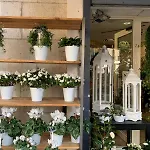 Cocon Chic Au Coeur De La Ville