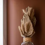 5 Beaumont - Magnifique 3P Au Style Boheme - Quartier Garibaldi