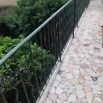 Cessole