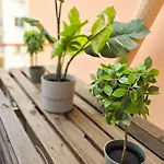 Apartment Superbe 3p Neuf - Terrasse - Barbecue *