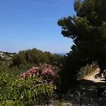 Villa Magnifique Sur Les Collines De Nice, 6 Pieces, Clim, Barbecue, Sauna Et Hammam Nice