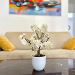 Apartment 2 Pieces Avec Balcon *