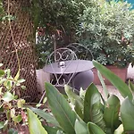 Restaurant Oasis Nice