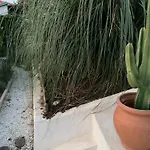 Maison Avec Vue Mer Et Jacuzzi A 15 Mn Du Centre