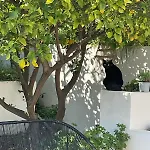 Maison Avec Vue Et Jacuzzi A 15 Mn Du Centre Villa *