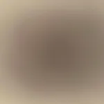 Etablissement Supprime