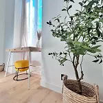 Ref 118 Oliviera 2 Beds In Riquier * Nice