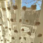 Jungle Boheme - A 3 Min De La Promenade Des A Pieds Apartment