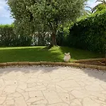 Beautiful 3 Bedroom Apartment With Nice Garden