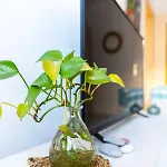 Rue Michelet Apartment