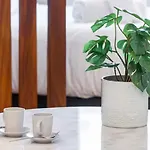 Carre Dor Design Confort And Centralite Apartment *