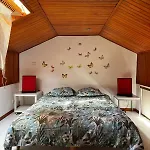Cosy A Proche Plages Apartment *