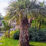 Secret Garden, Ideal For 2,large Terrace Apartment