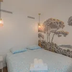 Superbe 2 Pieces Centre-ville Apartment Nice