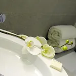 Mercure Nice Promenade Des Anglais