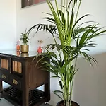 Apartment Tres Beau 3 Pieces Spacieux Lumineux Et Climatise