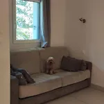 Les Palmiers Apartment