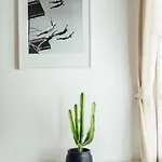 Oli's Flat Nice