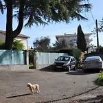 La Campagne Dans La Ville De Nice