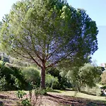 La Coulina * Nice