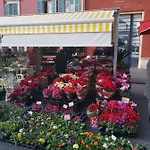 Appartement Vieux-Nice N