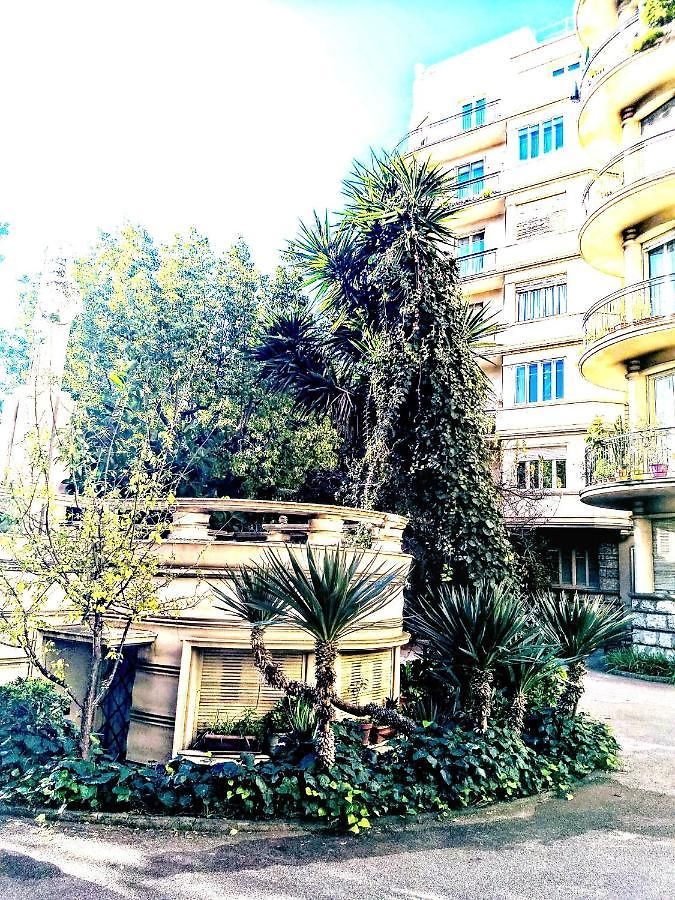 Le Palladium Quartier Tzarewitch Apartment Nice
