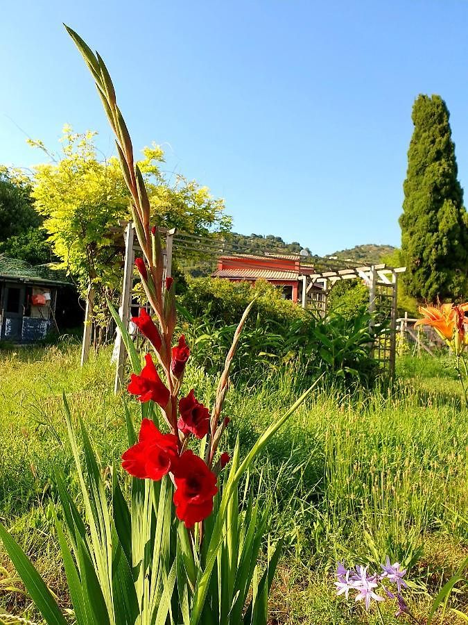 Col De Villefranche Bed & Breakfast *