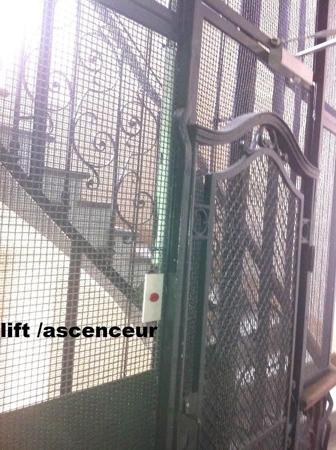 Green Cat Place Guest house