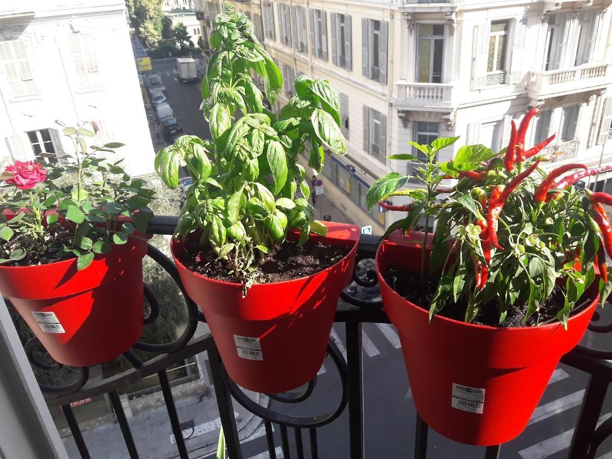 Bella Séjour chez l'habitant Nice