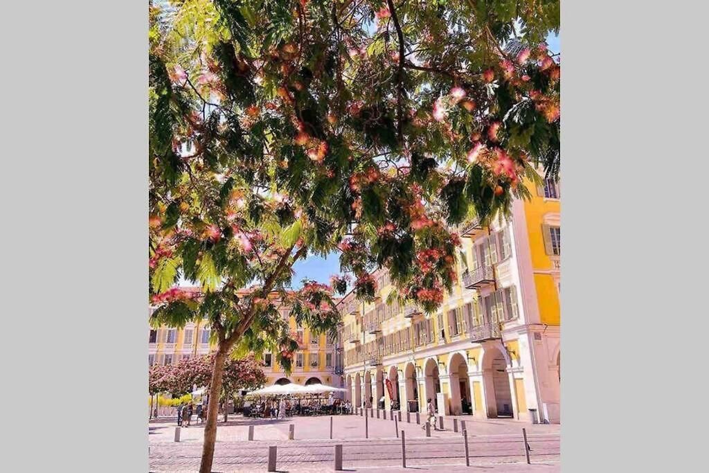 Apartment Idealement Situe Vieux Nice Neuf Calme Climatise