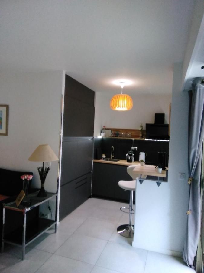 Nice- Gairaut - Jardin Prive- Grand F1 Lumineux-piscine Collective Apartment Nice